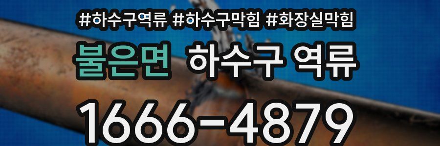 불은면 하수구 역류