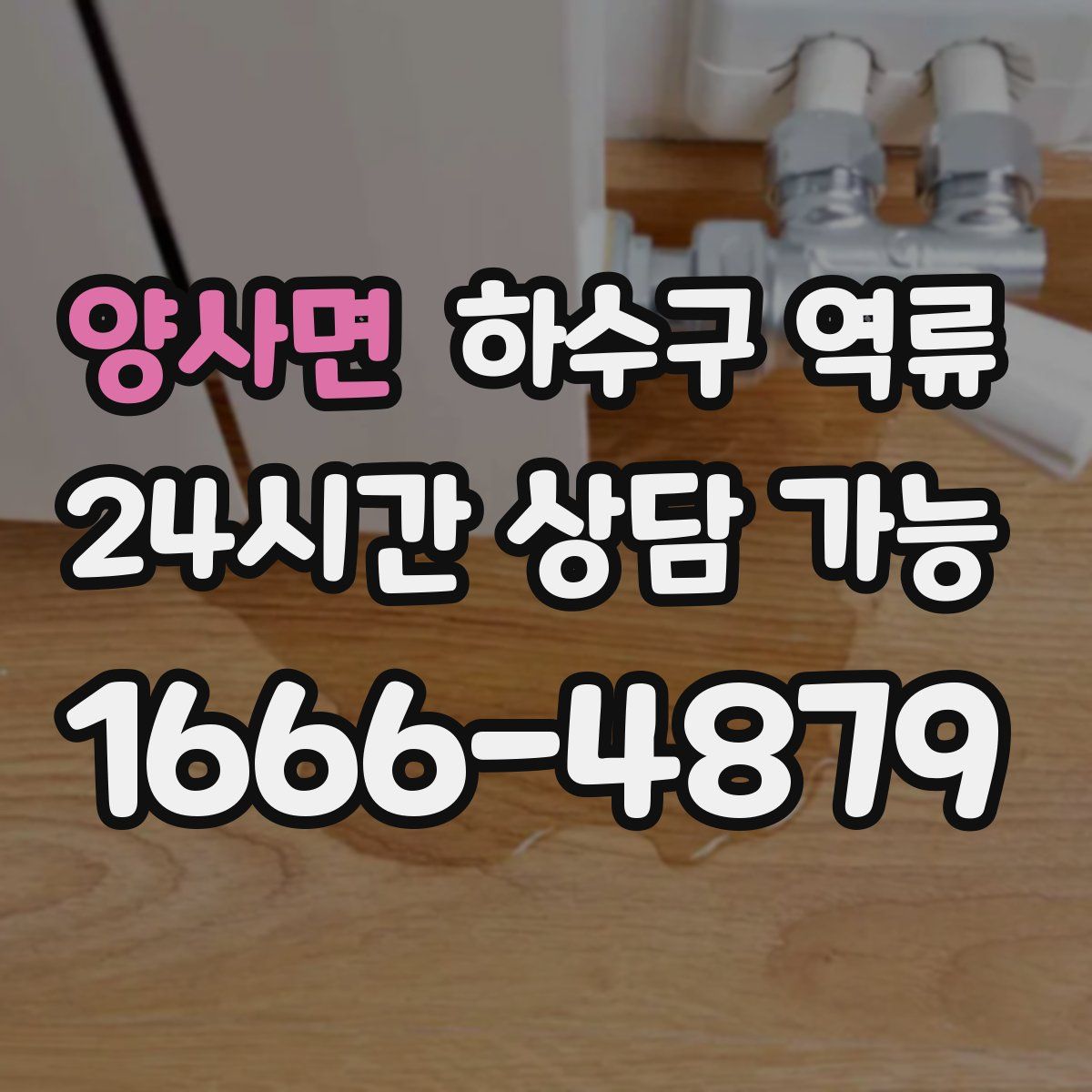 양사면 하수구 역류