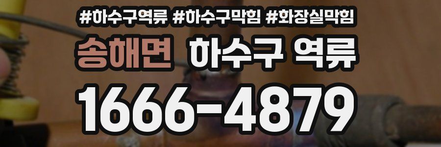 송해면 하수구 역류