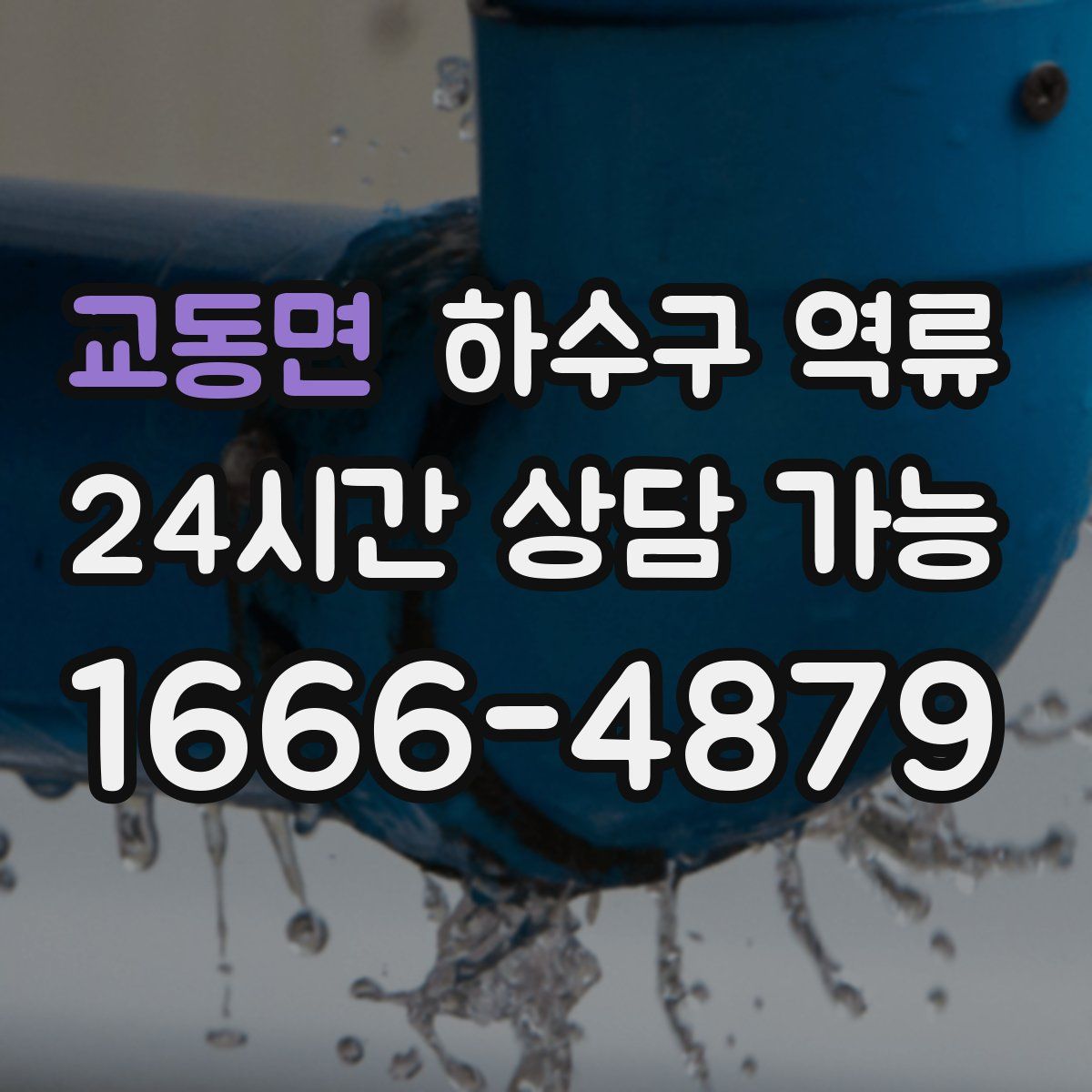 교동면 하수구 역류