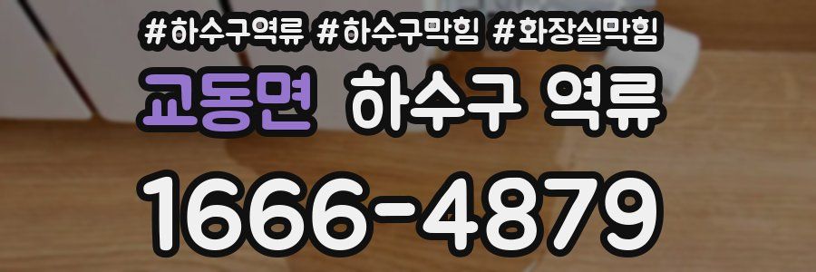 교동면 하수구 역류