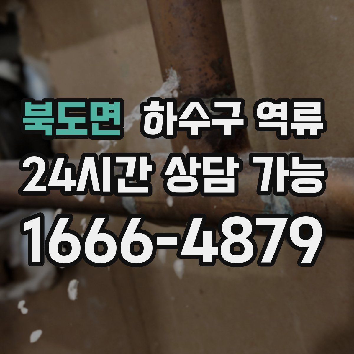 북도면 하수구 역류