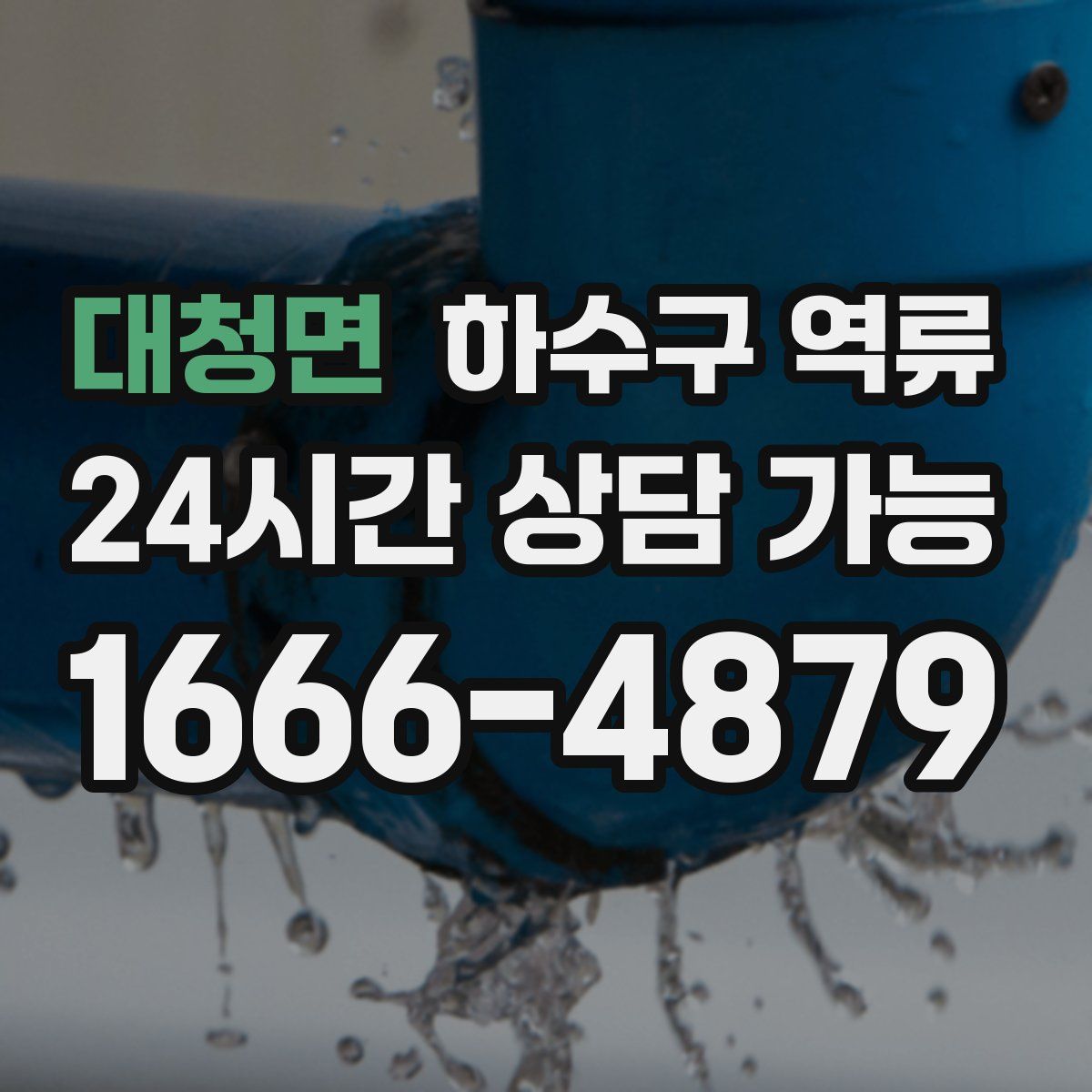 대청면 하수구 역류