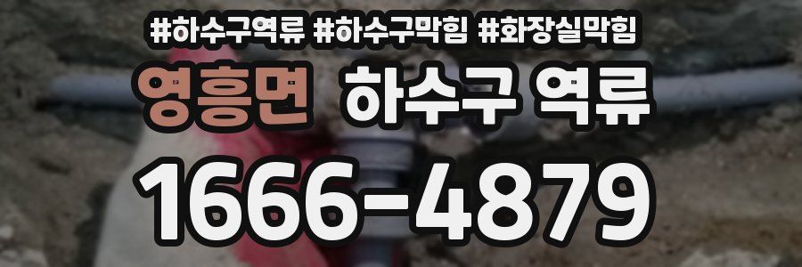 영흥면 하수구 역류