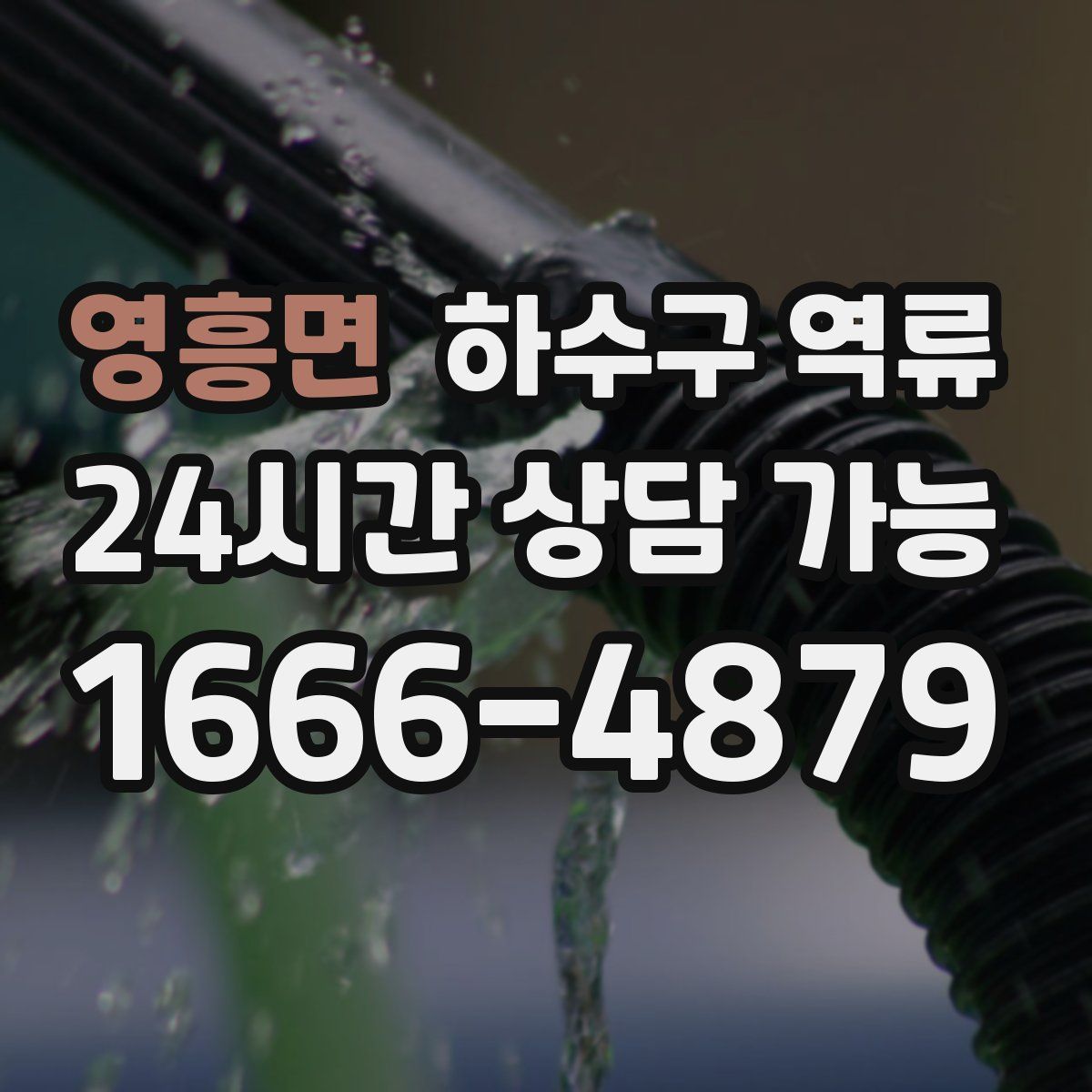 영흥면 하수구 역류