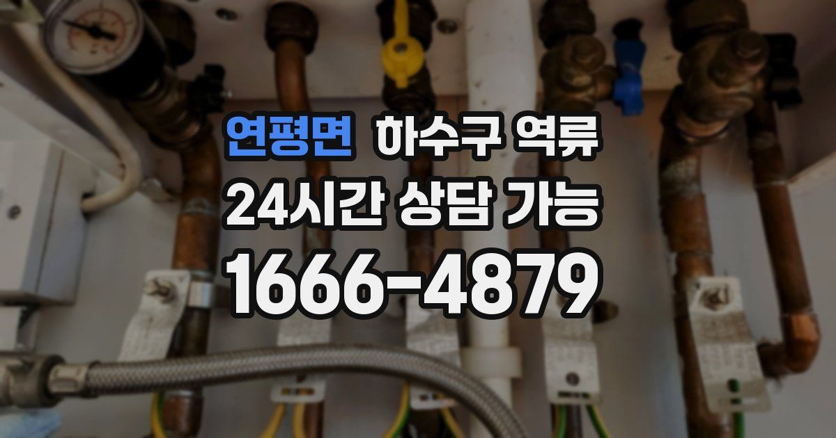 연평면 하수구 역류