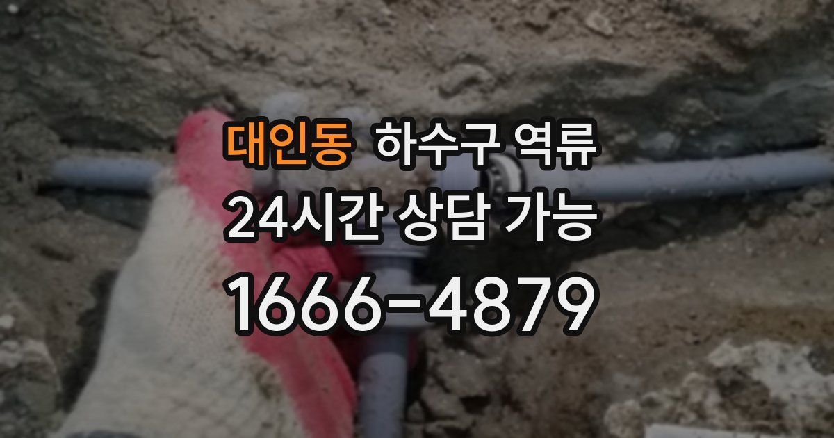 대인동 하수구 역류