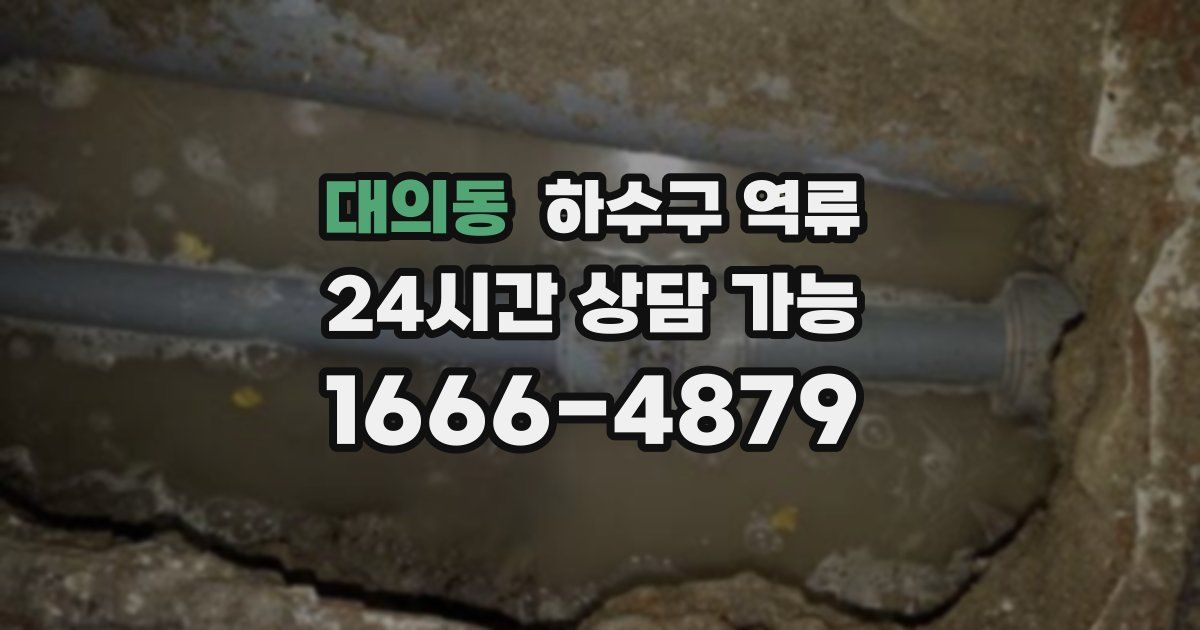대의동 하수구 역류