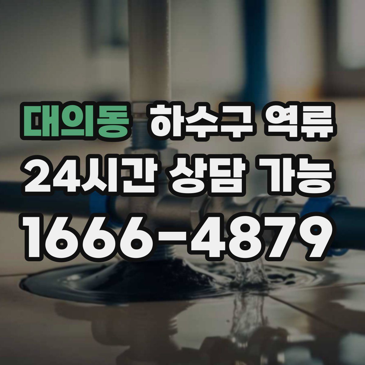 대의동 하수구 역류