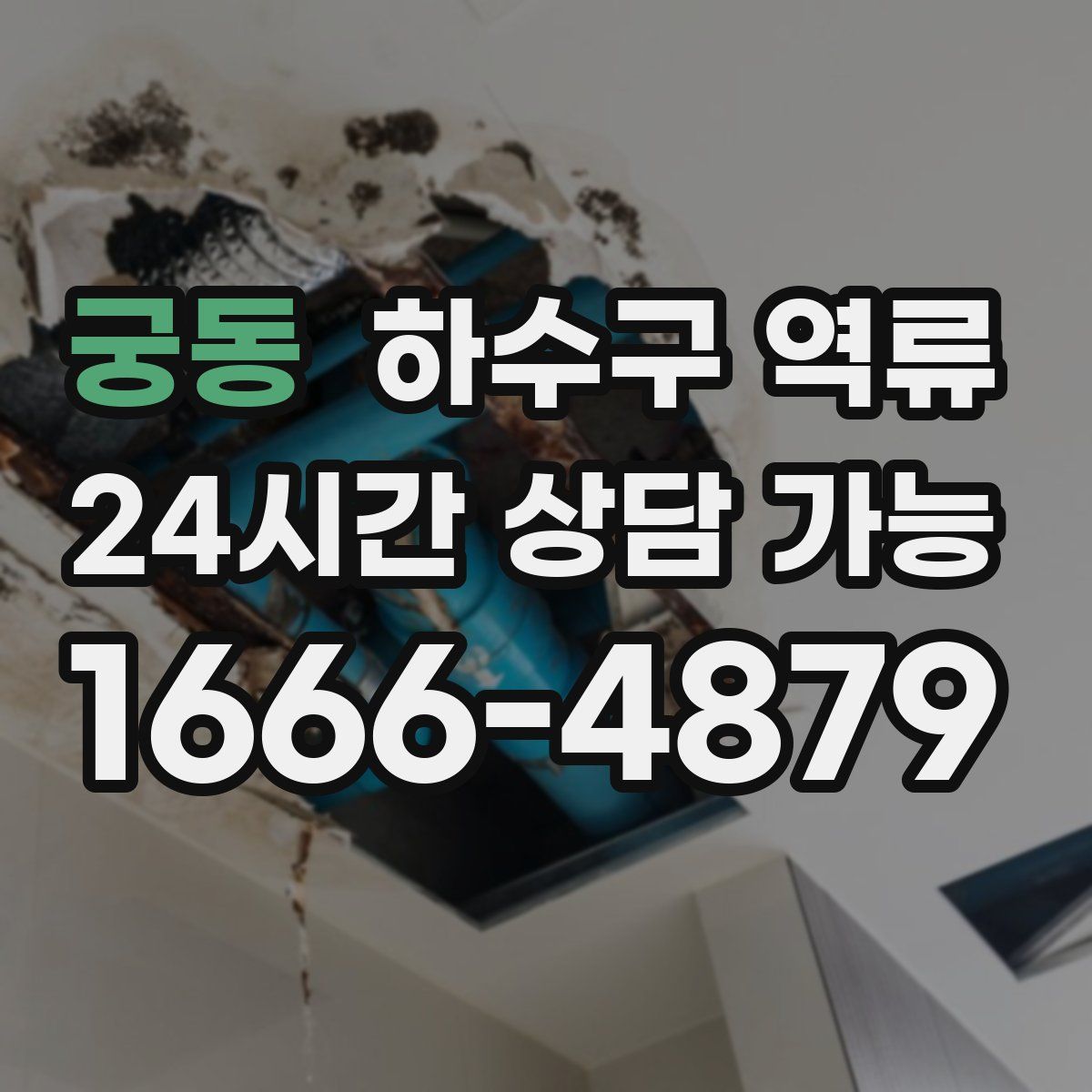 궁동 하수구 역류