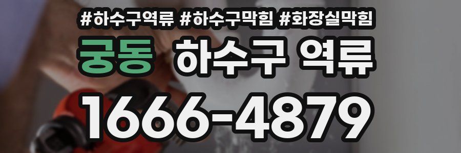 궁동 하수구 역류