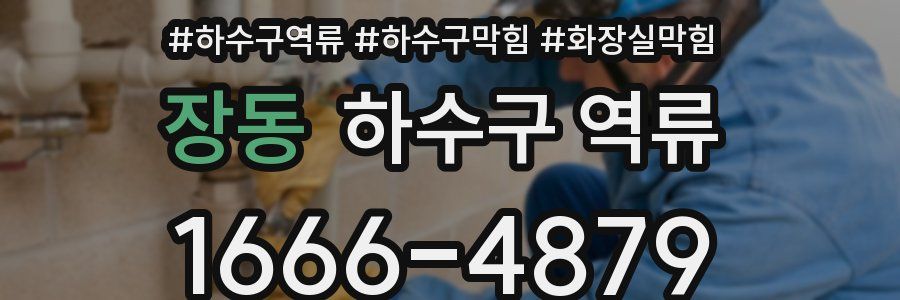 장동 하수구 역류