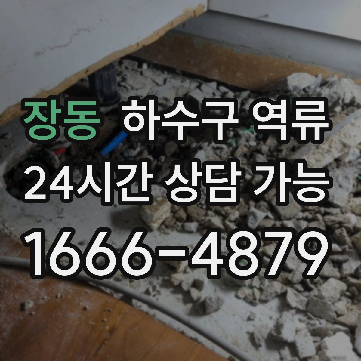 장동 하수구 역류