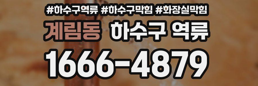 계림동 하수구 역류