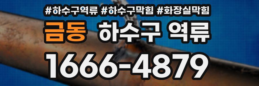 금동 하수구 역류