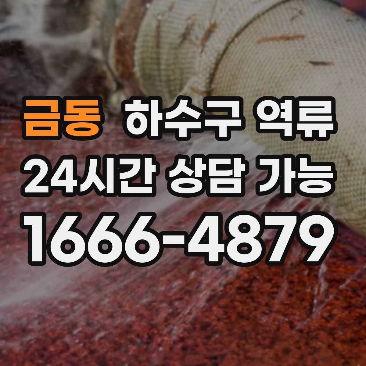 금동 하수구 역류