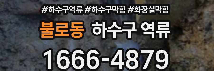 불로동 하수구 역류