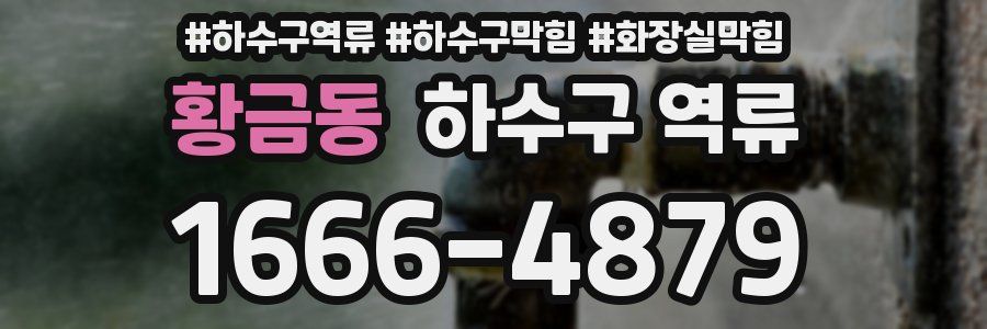 황금동 하수구 역류