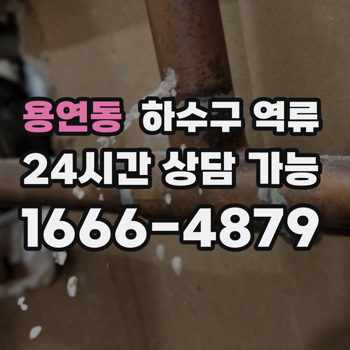 용연동 하수구 역류