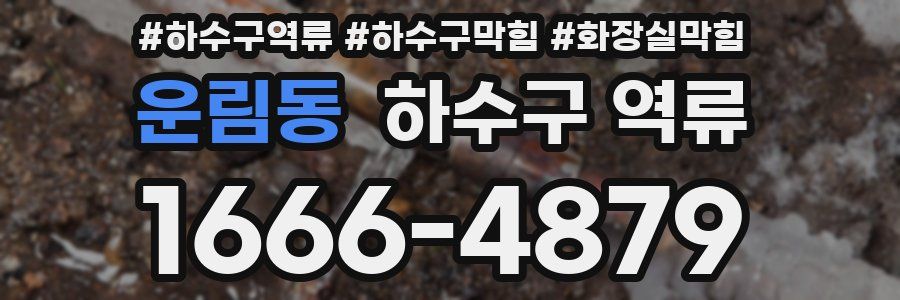 운림동 하수구 역류