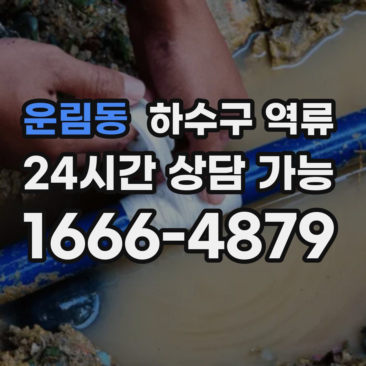 운림동 하수구 역류