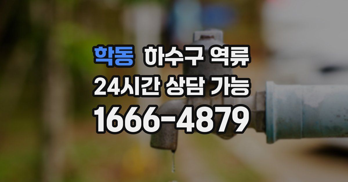 학동 하수구 역류