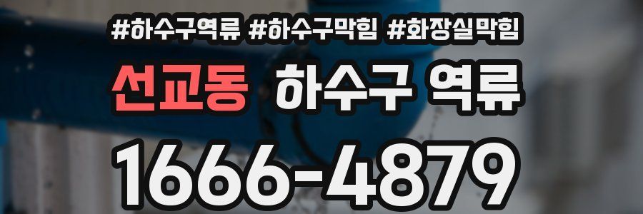 선교동 하수구 역류