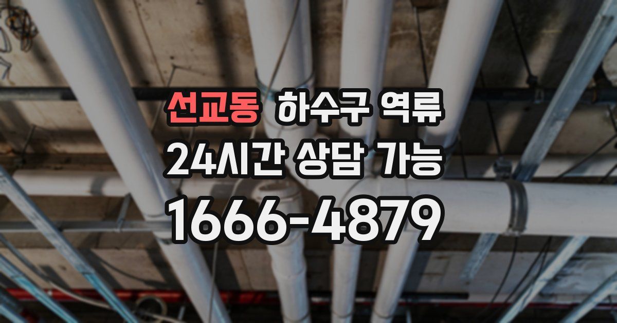 선교동 하수구 역류