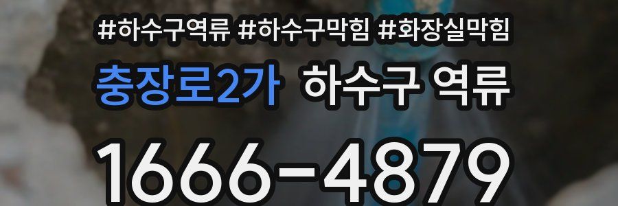 충장로2가 하수구 역류