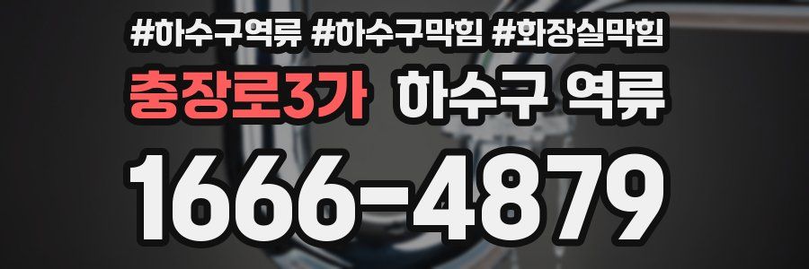 충장로3가 하수구 역류