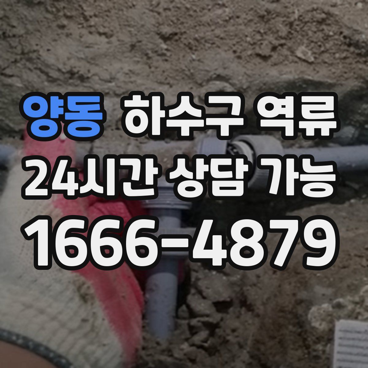 양동 하수구 역류