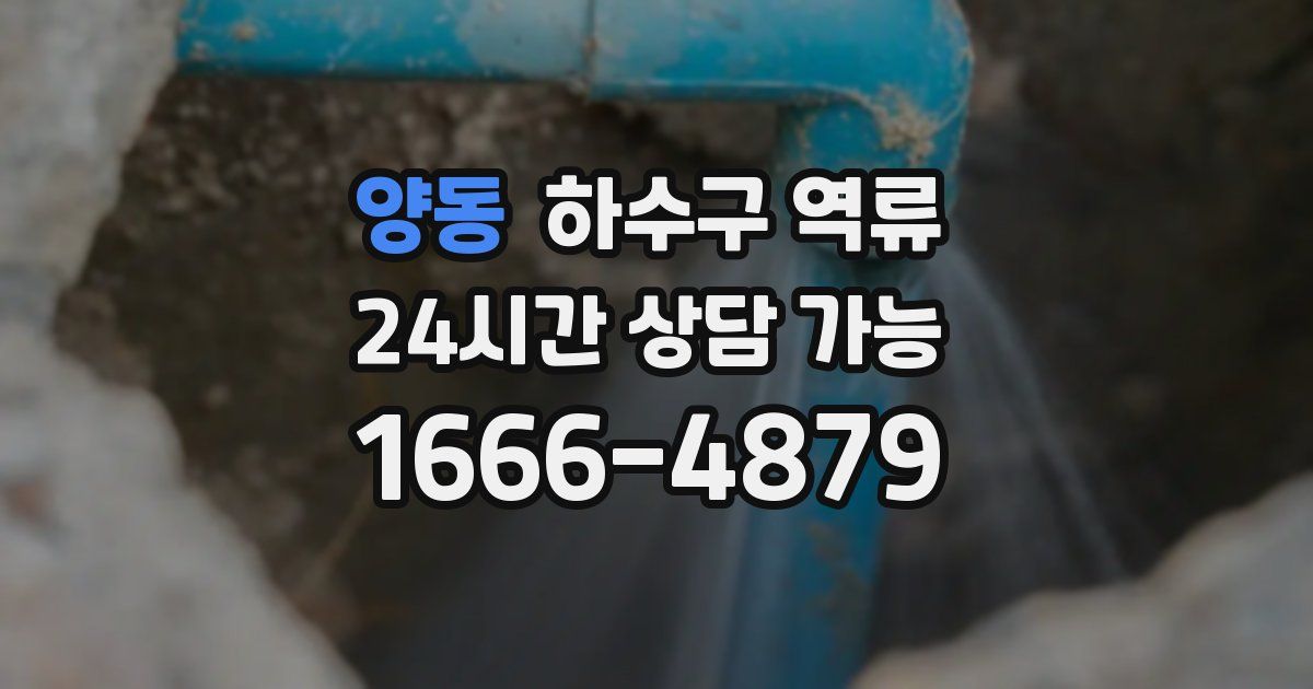 양동 하수구 역류