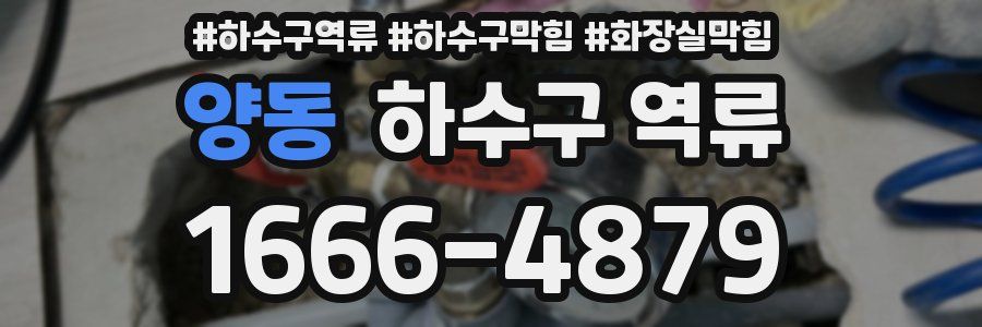 양동 하수구 역류