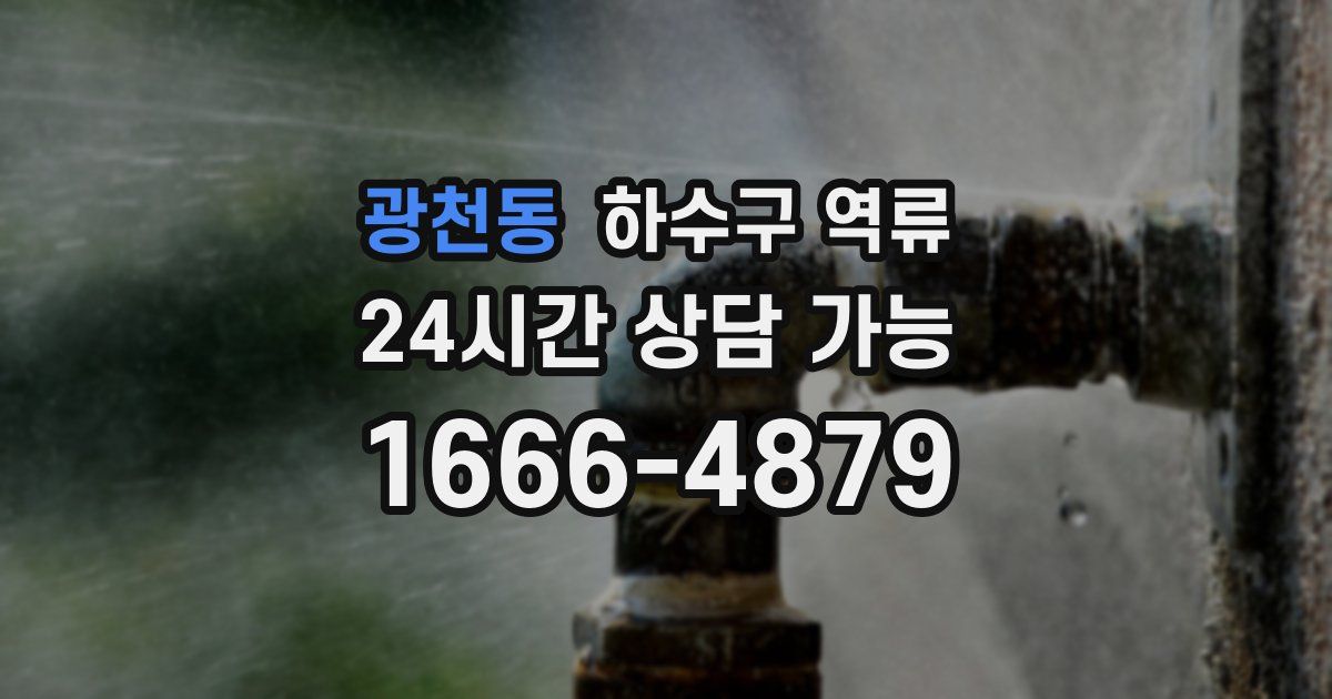 광천동 하수구 역류