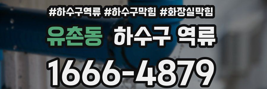 유촌동 하수구 역류