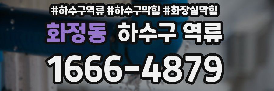 화정동 하수구 역류