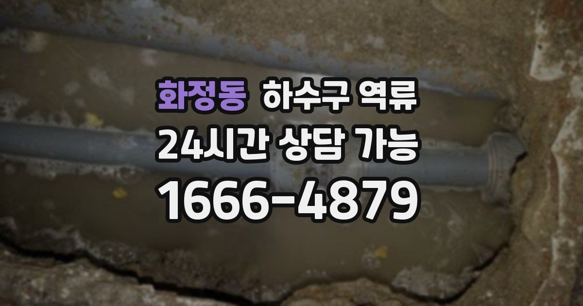 화정동 하수구 역류