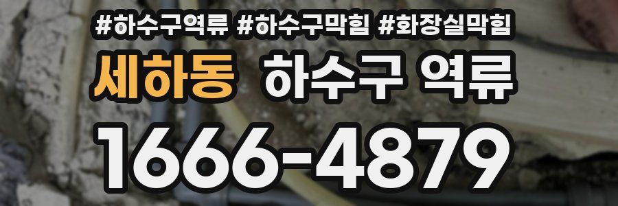 세하동 하수구 역류