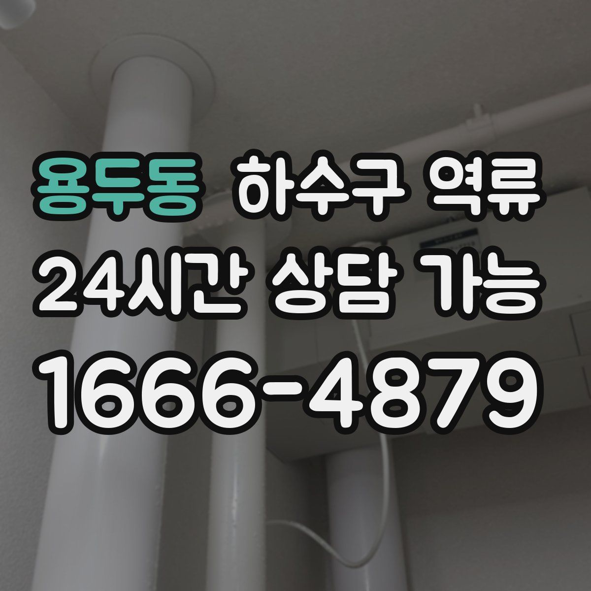 용두동 하수구 역류