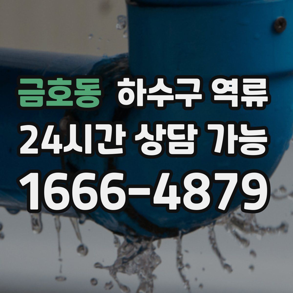 금호동 하수구 역류