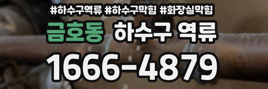 금호동 하수구 역류