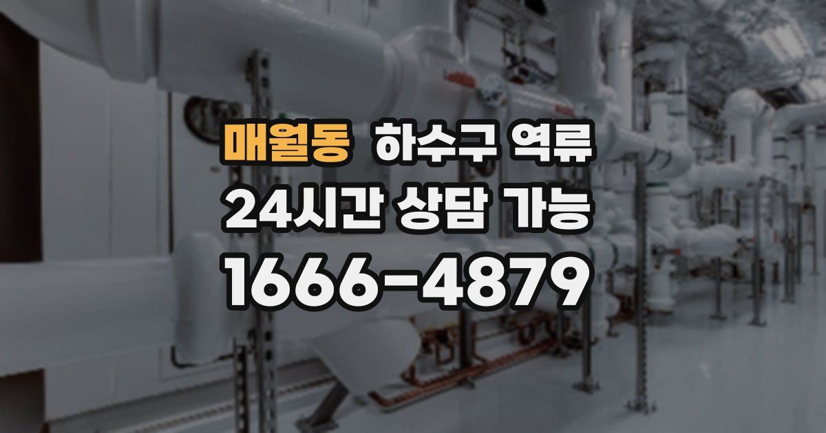 매월동 하수구 역류