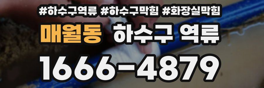 매월동 하수구 역류