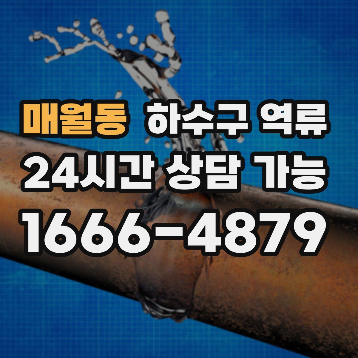매월동 하수구 역류