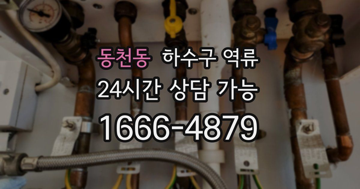 동천동 하수구 역류