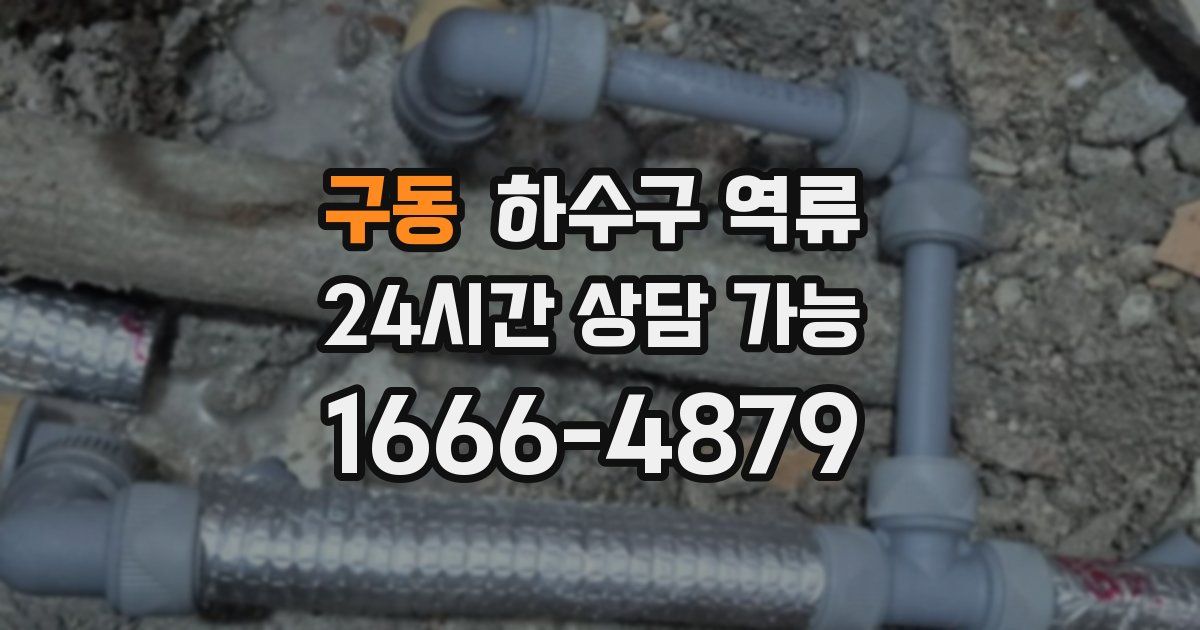 구동 하수구 역류