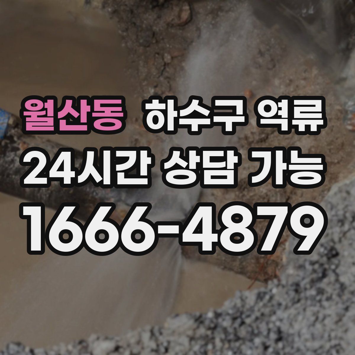 월산동 하수구 역류