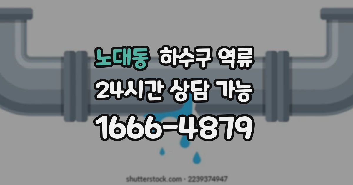 노대동 하수구 역류