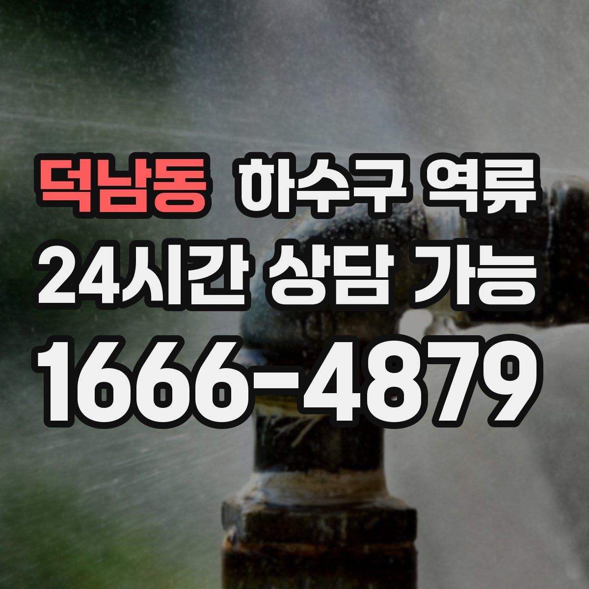 덕남동 하수구 역류