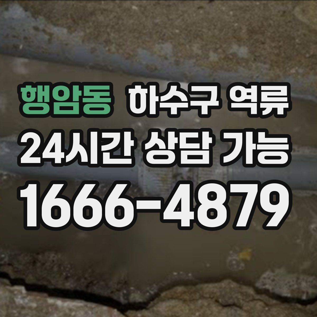 행암동 하수구 역류